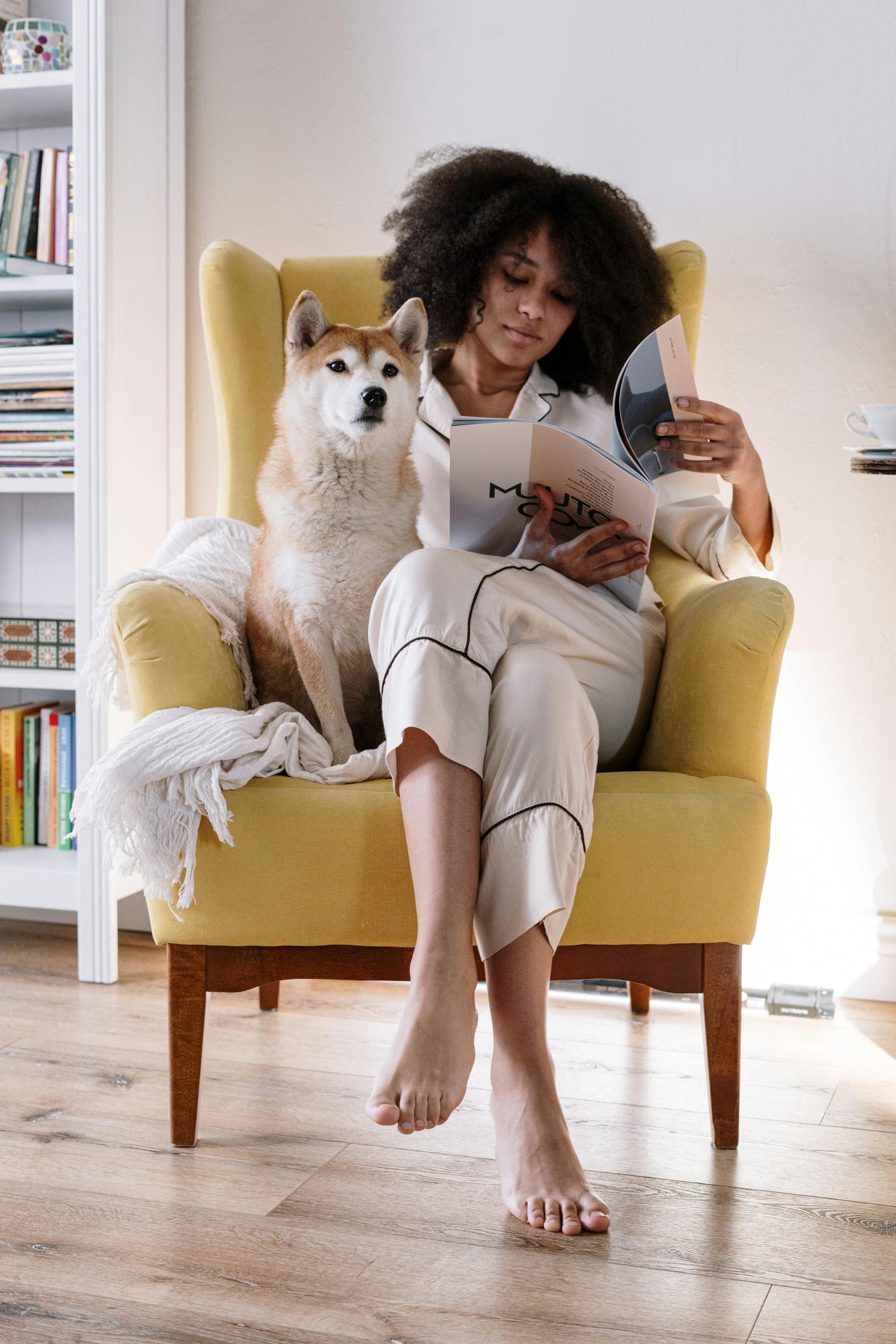 Pet Home Essentials